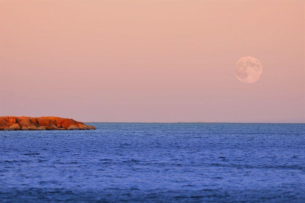 Residence De Tourisme L'Albatros ปาลาวาส-เลส์-โฟลต์ ภายนอก รูปภาพ
